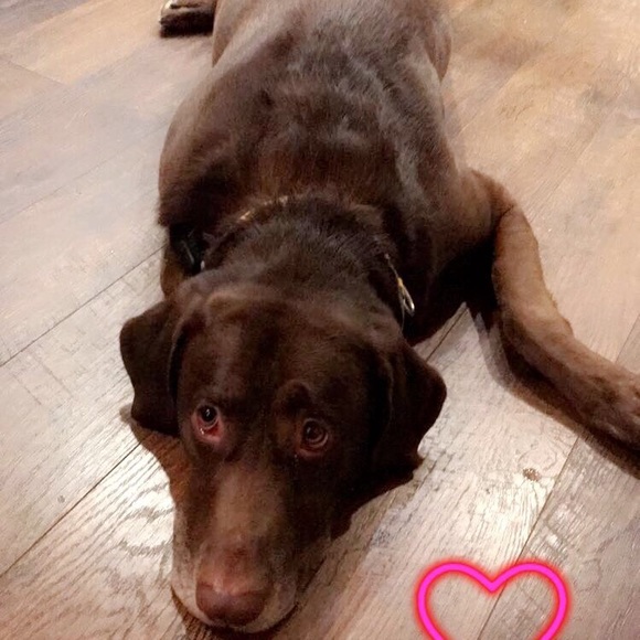 Meet your Posher, Bobbi - Picture 1 of 1